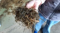 K800_20250507_162735